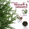3FT Pre-Lit Artificial Norfolk Pine Christmas Tree (Green) 18"D x 18"W x 36"H